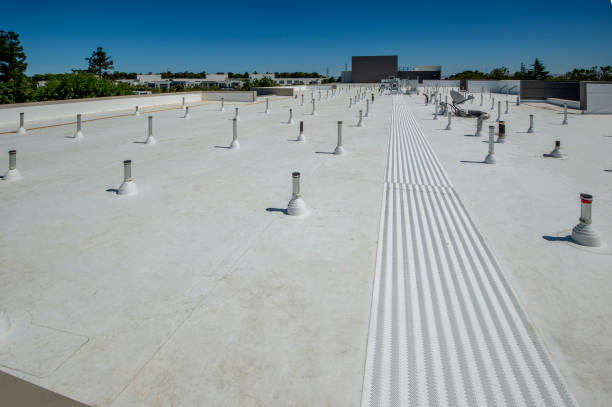 Best Roof Maintenance and Cleaning  in Alburtis, PA